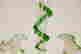 item-78490056=2