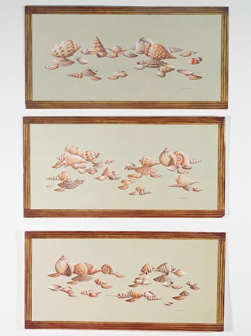 Group, Seven Seashell Lithographs, Arthur Kaplan: Group of seven seashell lithographs comprising three untitled after Meinhardt (9.25" x 18") and four printed by Kaplan after B. Arhelger entitled 'Gems of the Sea', 'Nature's Sculpture', 'Marine Treas