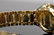 18K YG Ebel Beluga 1911 Watch w/Diamond Bezel - 5