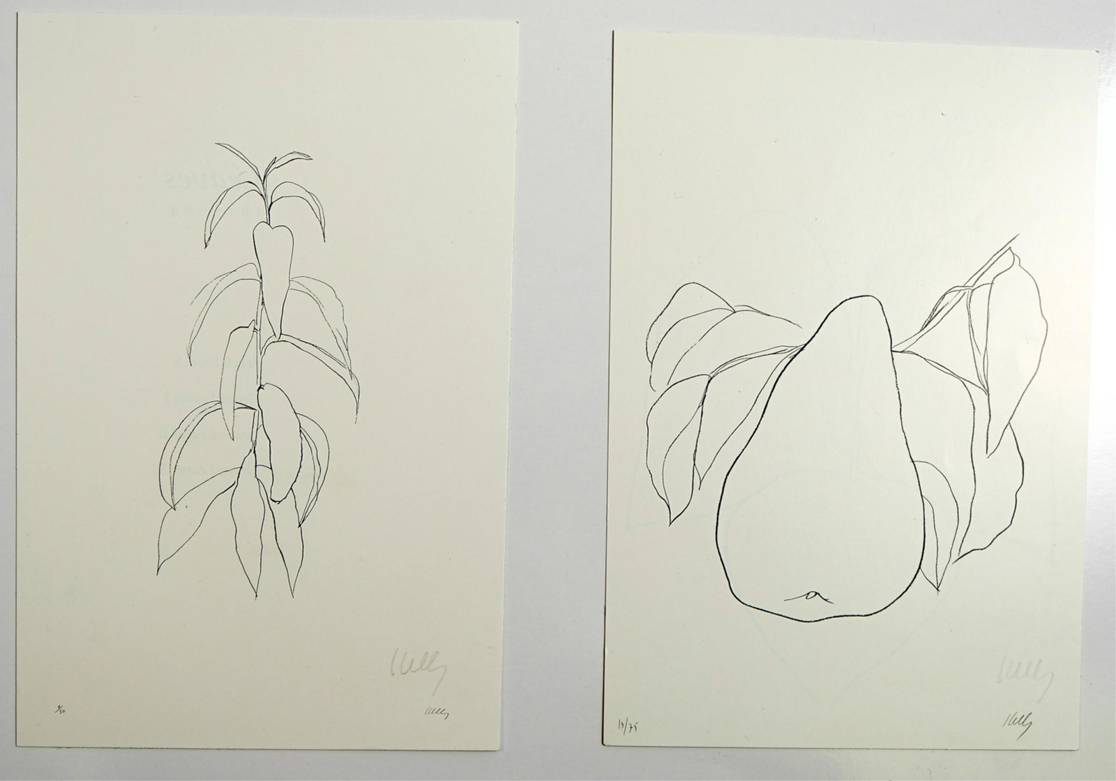 Ellsworth Kelly, Two Offset L.E. Lithos, Signed (1 of 11)
