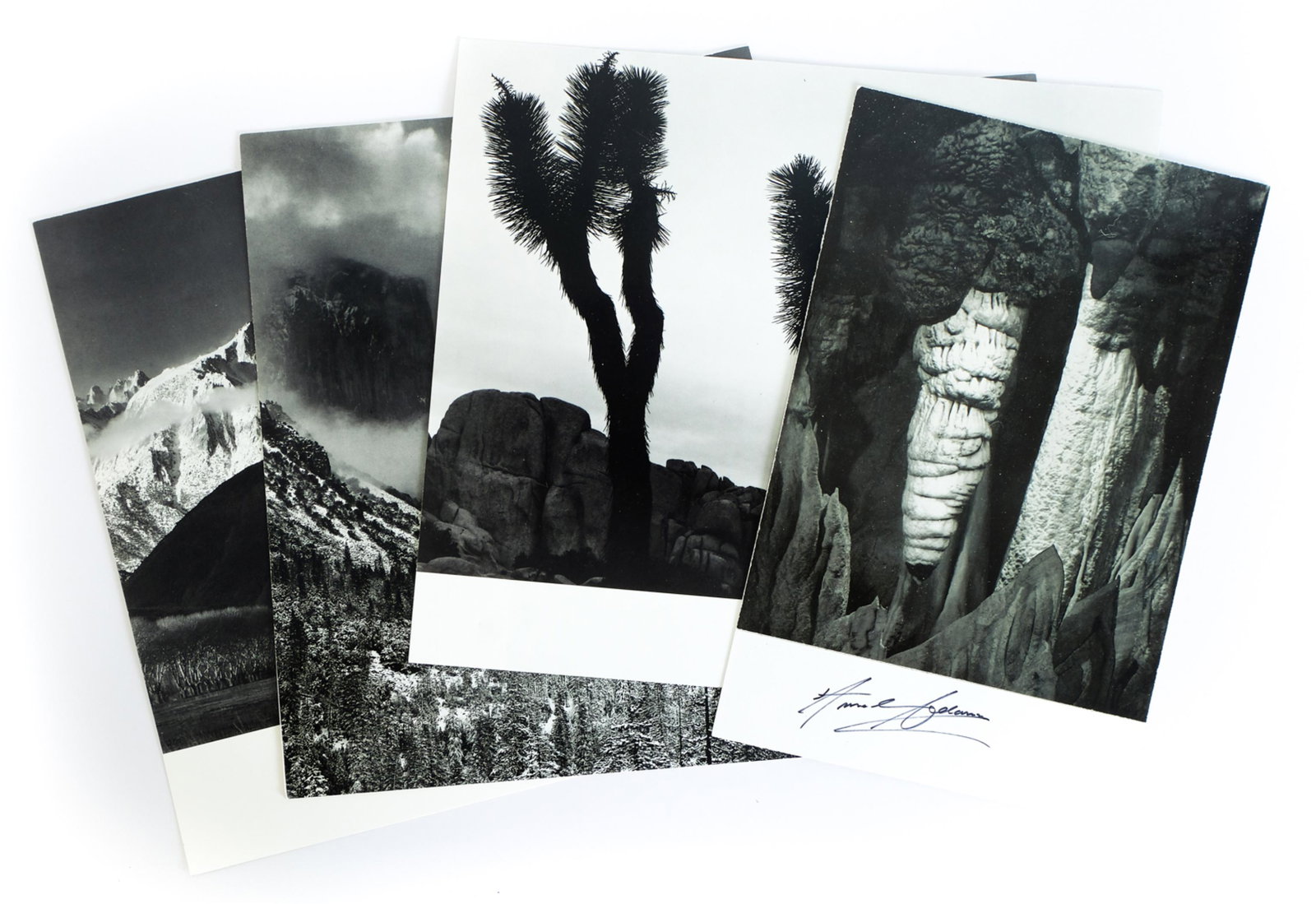 Ansel Adams, Group 4 Lithographs, Signed: Ansel Easton Adams (1902 - 1984), group of four photo lithographs (mounted) comprising "Clearing Winter Storm, Yosemite, 1944", "Joshua Trees & Moon", "Carlsbad Caverns National Park, New Mexico" and 