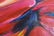 Attr. Peter Max "Taylor Swift" Acrylic on Canvas - 5