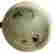 item-117661404=4