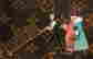 item-117661641=3