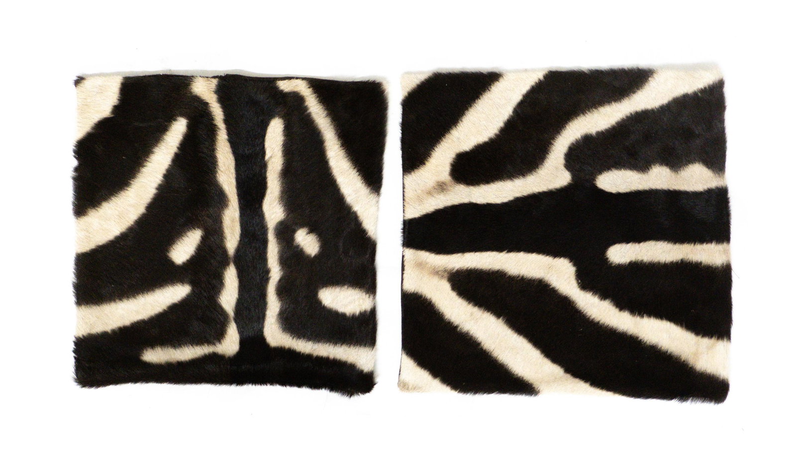 Pair, Custom Made Zebra Taxidermy Pillow Cases (1 of 5)