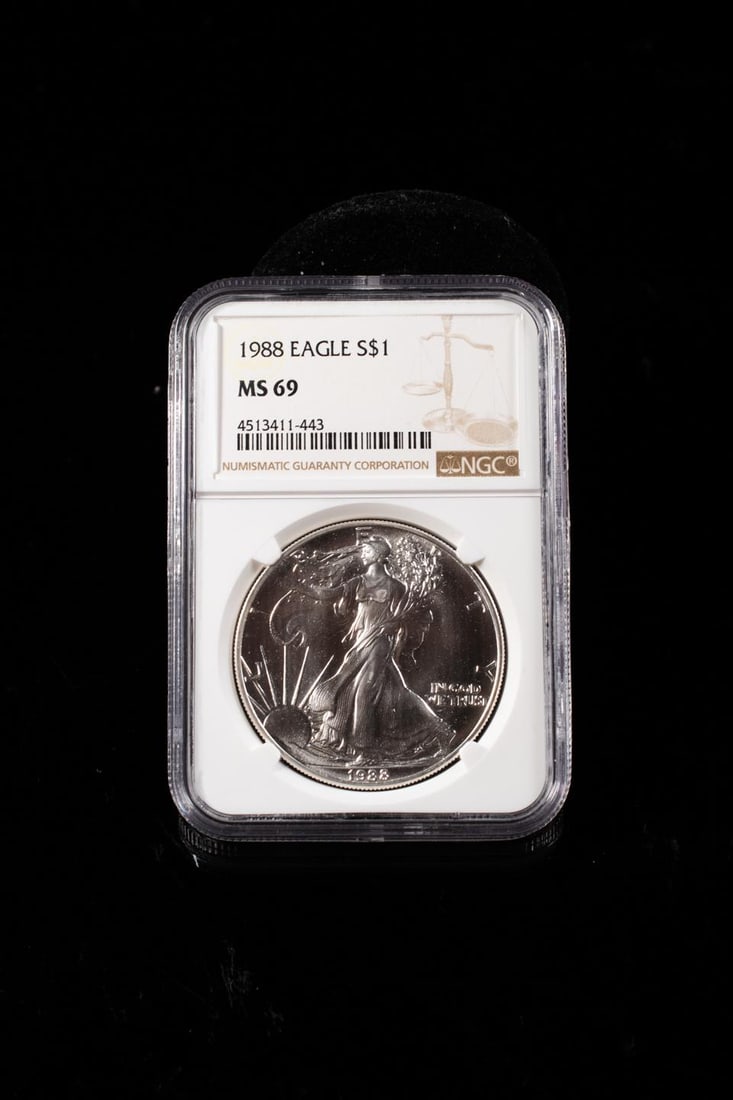 1989 EAGLE SILVER DOLLAR MS-69 (1 of 1)