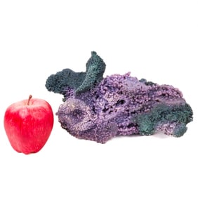 Indonesian Grape Agate – Museum-Quality Botryoidal Formation, 6.48 lbs
