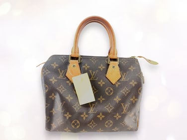 Louis Vuitton Monogram Speedy 25 Handbag (M41109)