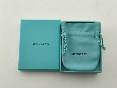 Tiffany & Co. Atlas Pendant with Box & Pouch (& Vintage sterling necklace, not Tiffany)