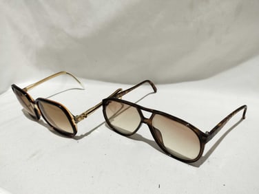 Dior Monsieur 2162A and Nina Ricci 89-A17 Sunglasses Set