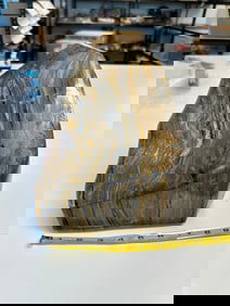 Large Petrified Wood Specimen