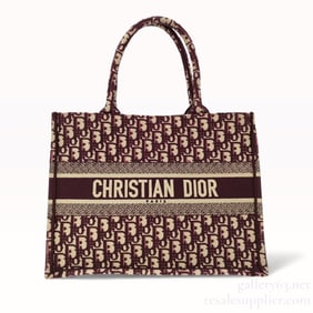 Christian Dior Book Tote bag Dior Oblique