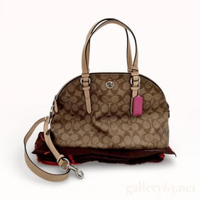 Coach Signature Coated Canvas and Leather Handbag