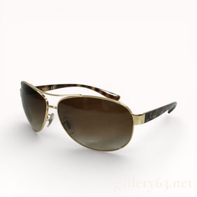 Ray-Ban 67–13 Aviator Sunglasses with Gold-Tone Frame