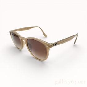 Ray-Ban Classic Acetate Sunglasses