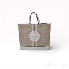 Coach Signature C8418 Tote Bag
