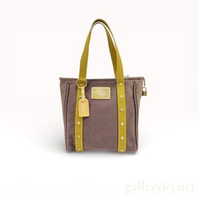 Louis Vuitton Limited Edition Antigua Cabas GM Canvas Tote