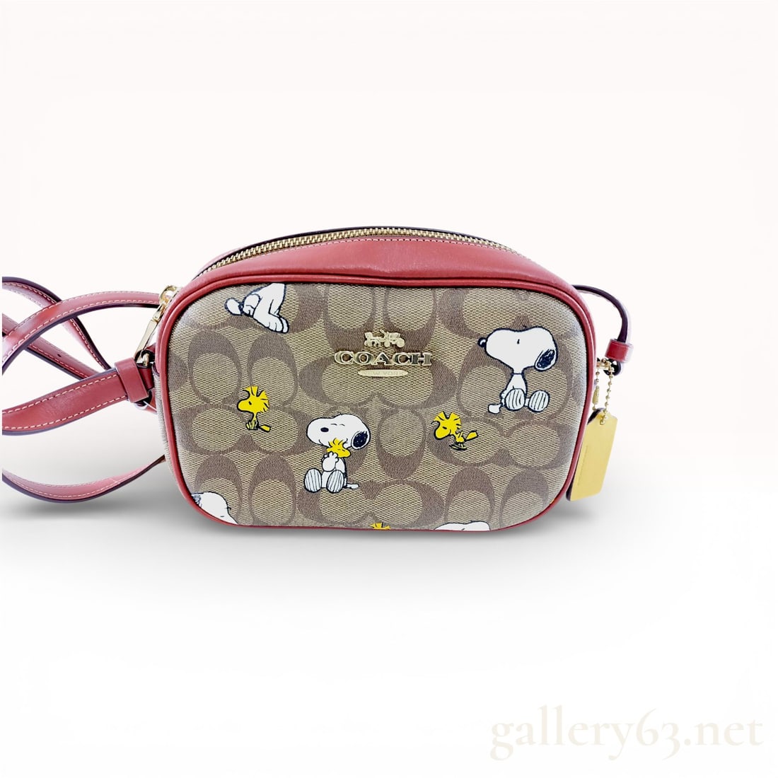 Coach X Peanuts Mini Jamie CF-248 Camera Bag - Excellent Condition (1 of 10)