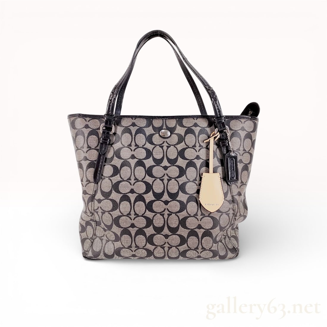 Coach Peyton Signature Zip Top Tote in Canvas & Leather (1 of 10)