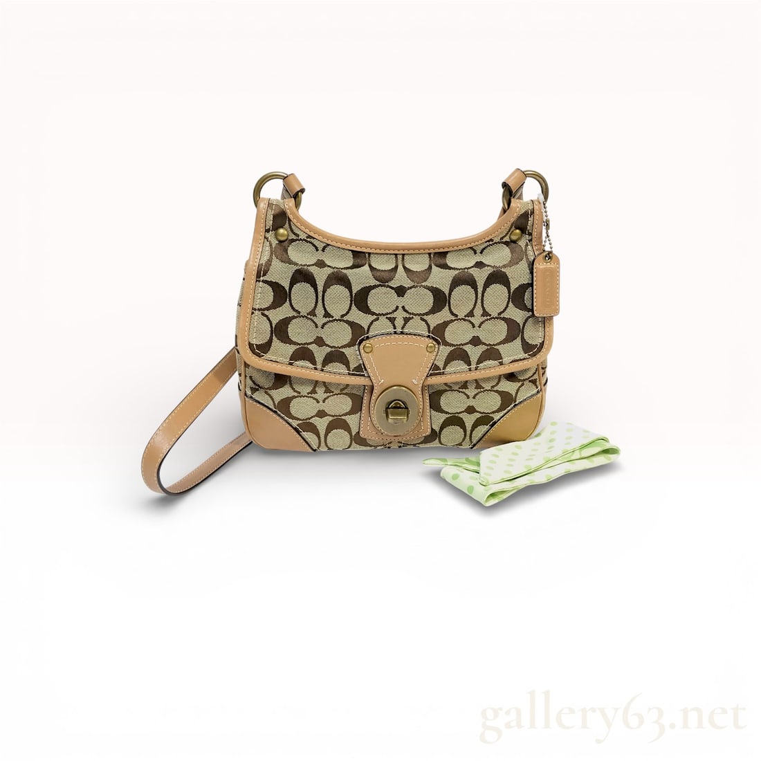 Coach Hamptons Signature Small Flap Shoulder Bag F11524 (1 of 10)