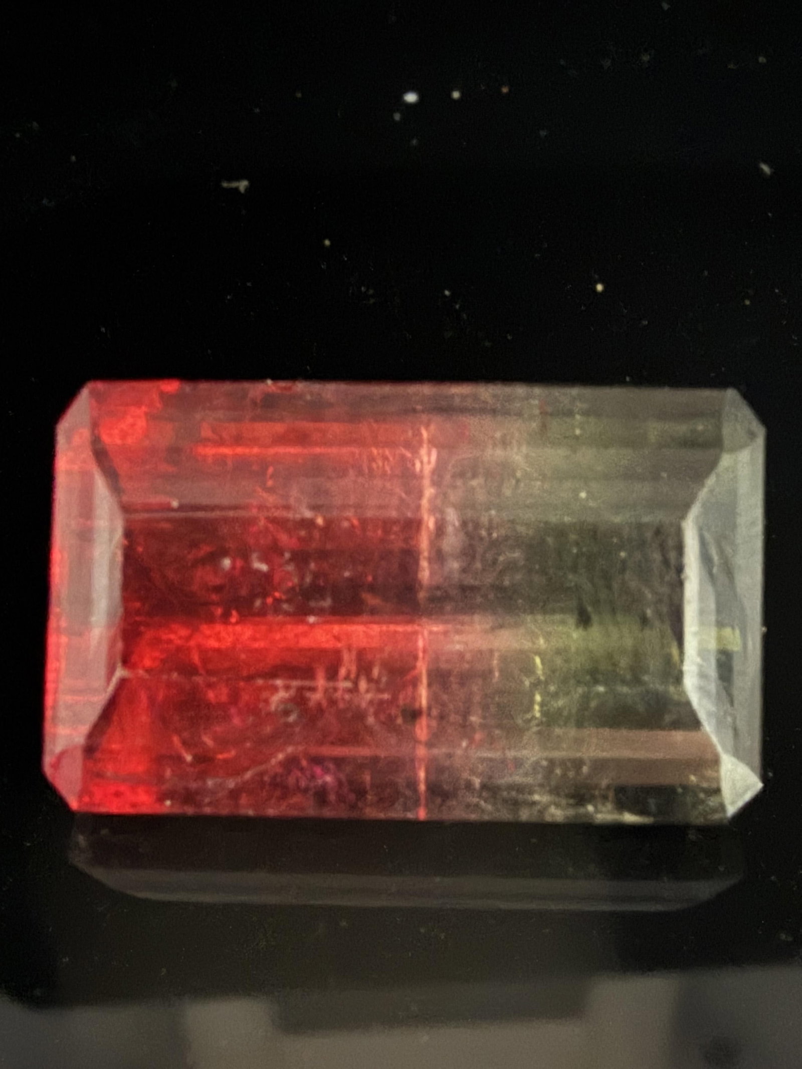 30.62 Watermelon Tourmaline: Bi-color watermelon tourmaline 30.62 carats.