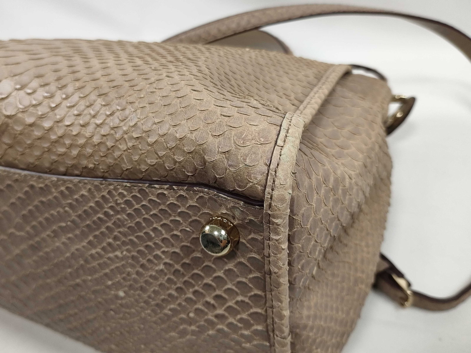 Coach Gramercy Satchel in Python-Embossed Leather - 9