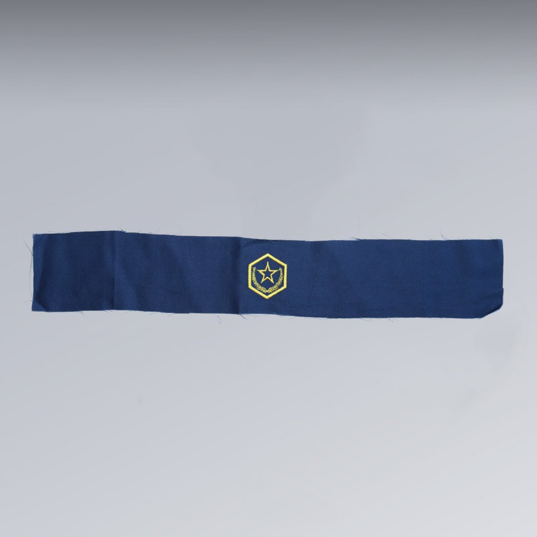 Michael Jackson armband fabric (1 of 2)