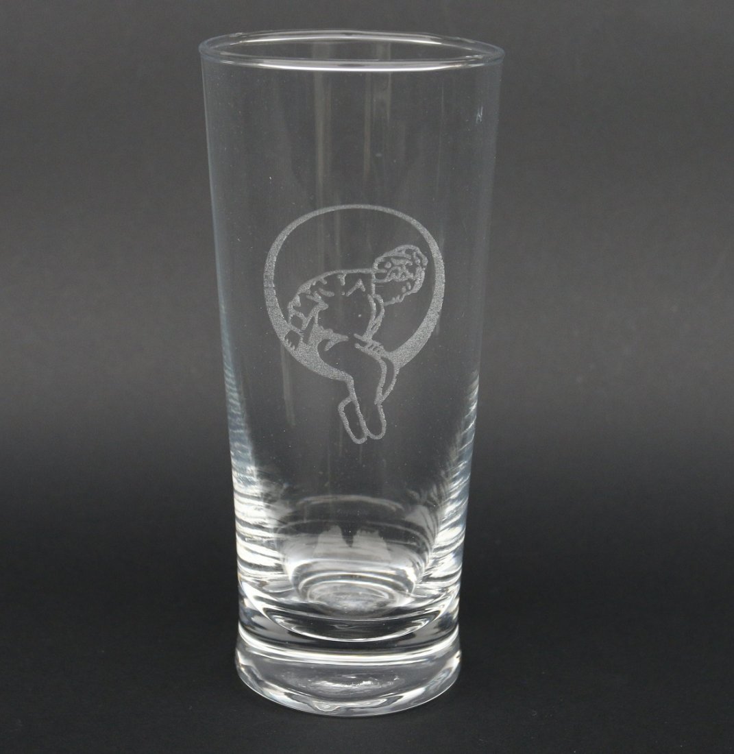 Michael Jackson Neverland Valley Ranch Used Glass #2 (1 of 2)