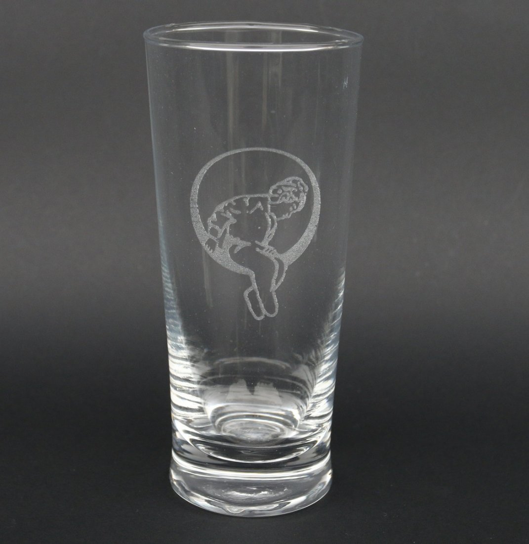 Michael Jackson Neverland Valley Ranch Used Glass (1 of 2)