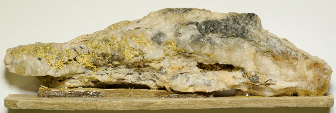 Seward Peninsula Native Gold Specimen (108014): 3.75" long exceptionally high grade visible gold in quartz ore specimen from the Gottschalk Collection.. One face is cut and polished. Weight including label is 60.9gr. This is the finest Alaska gold