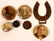 Taft & Bryan Campaign Buttons and Pin Backs (118072)