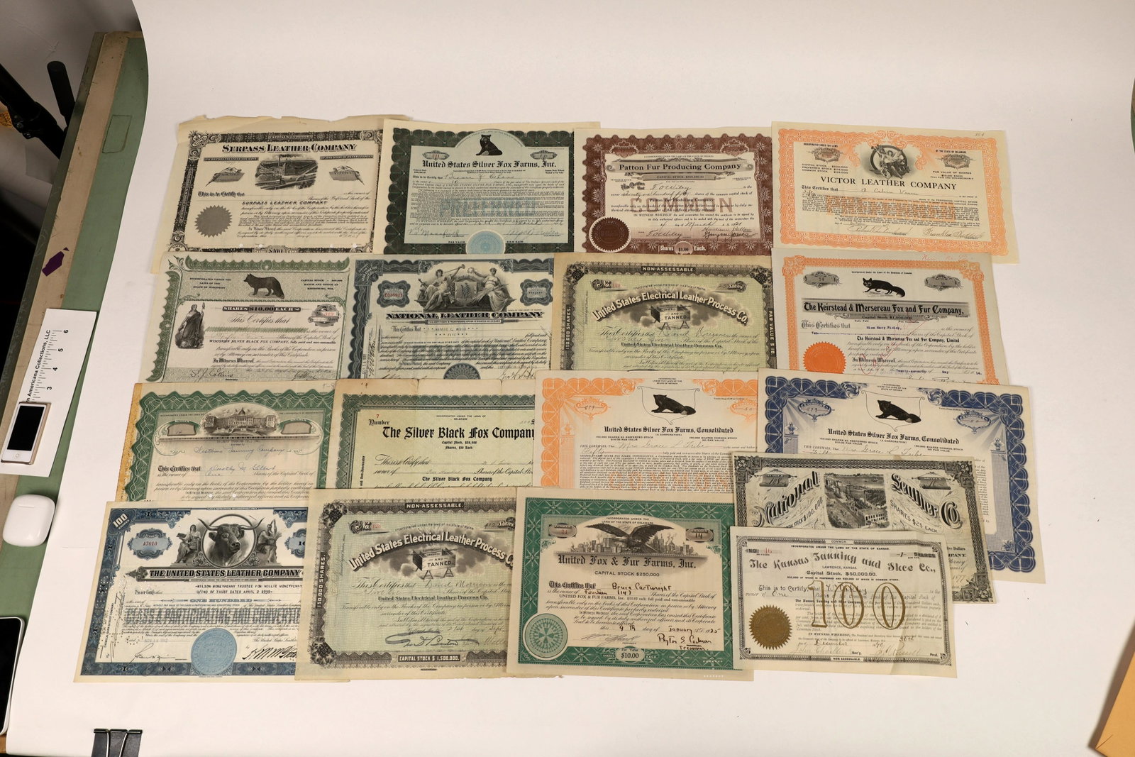 Leather & Fur Company Stock Certificates (17) [127429]: Stock certificates issued by various companies, including National Leather Company (1877), Patton Fur Producing Company (1921), Victor Leather Company (1917), Wisconsin Silver Black Fox Company (1916)