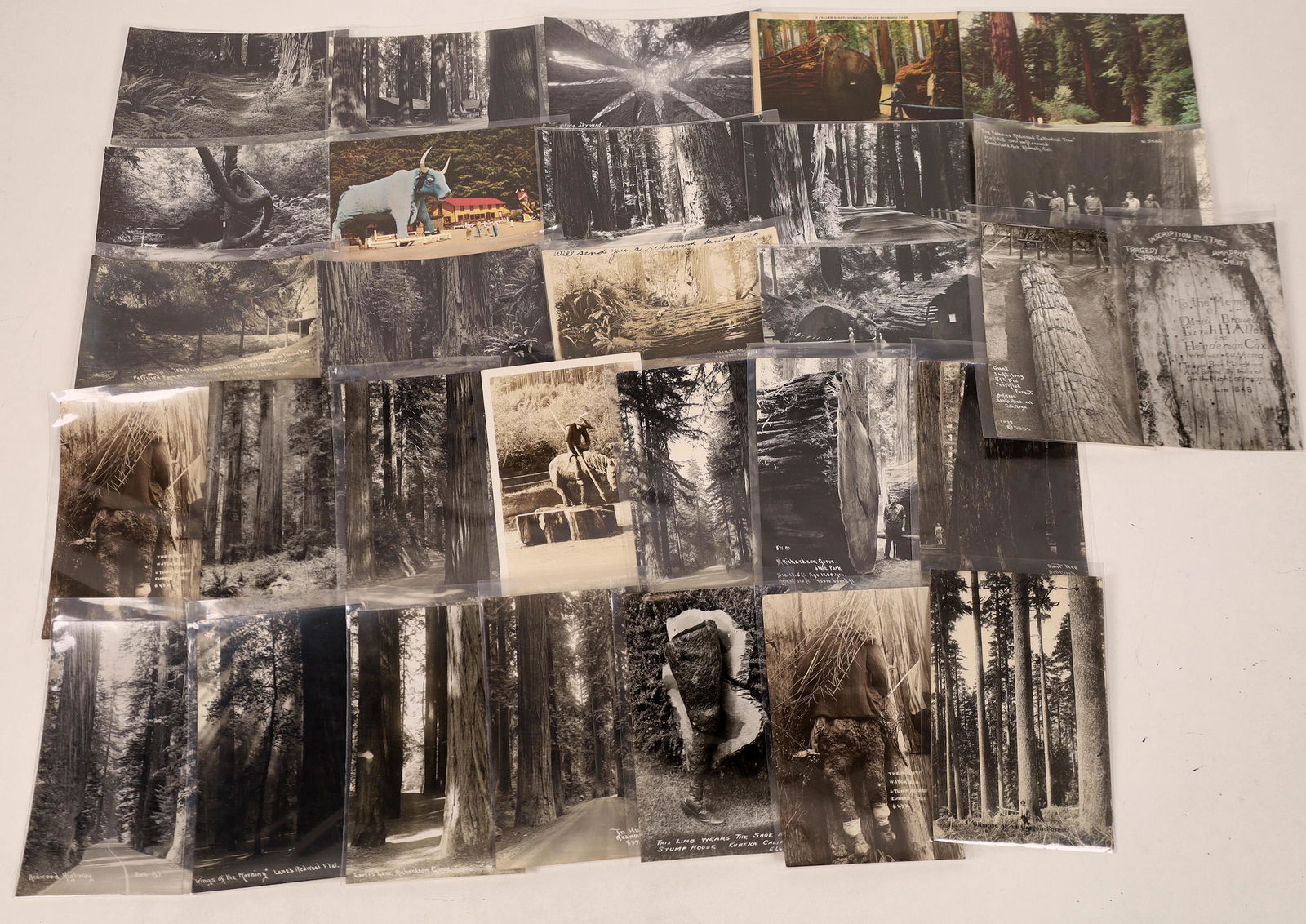 Along the Redwood Highway Post Cards [122403]: Lot of 30. Six are postmarked w/stamps (1, 2 cents). 1907-49. Color and B/W, some RPC[x=#8217/]s. Two have white borders: Craved redwood [x=#8220/]End of the Trail[x=#8221/] in Trees of Mystery Park,