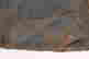 item-114962146=2