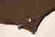 item-114962146=5