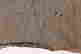item-114962146=6