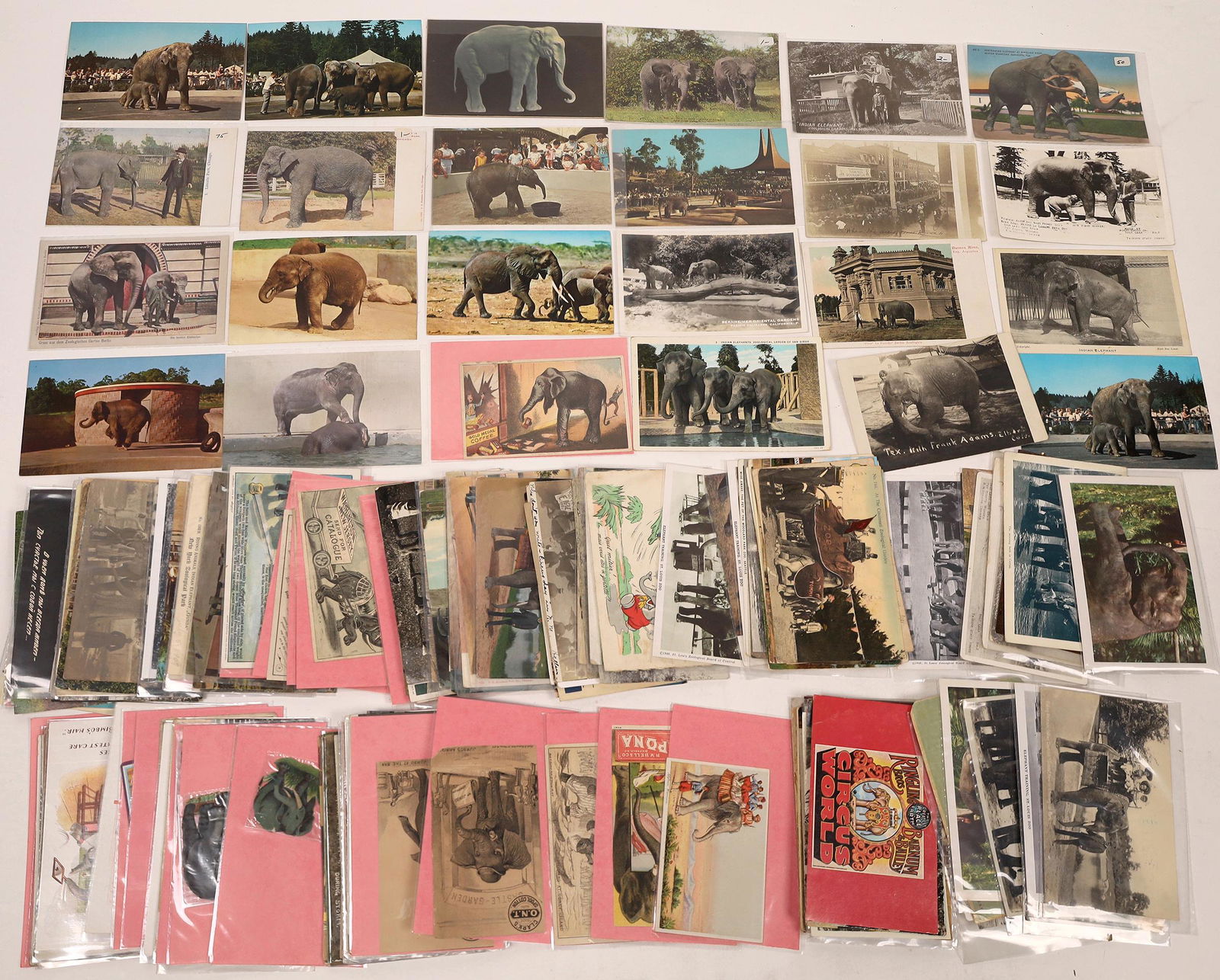 Postcard Collection: Elephants  [136223] (1 of 1)