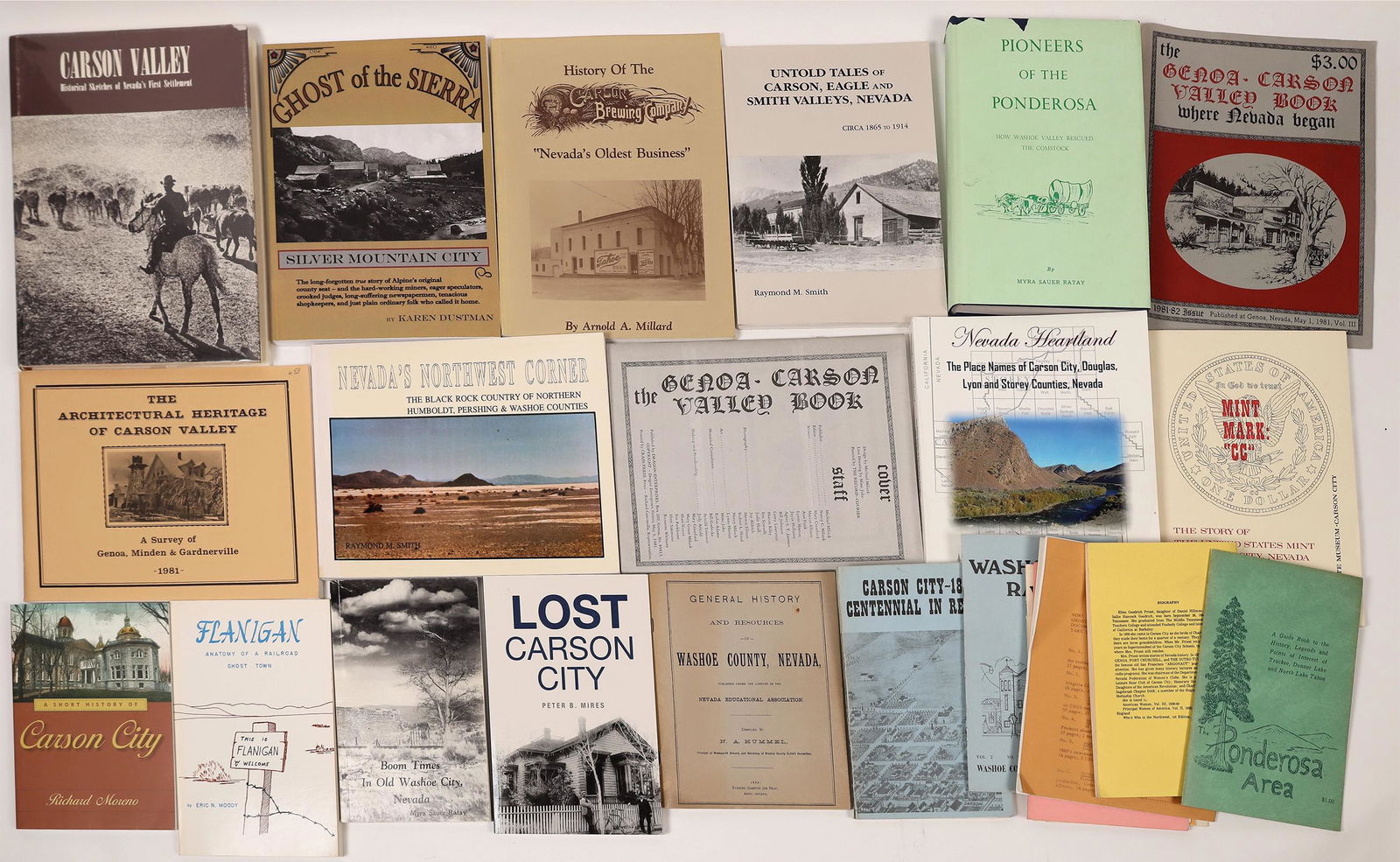 Resource and Reference Volumes: Washoe, Ormsby and (1 of 1)