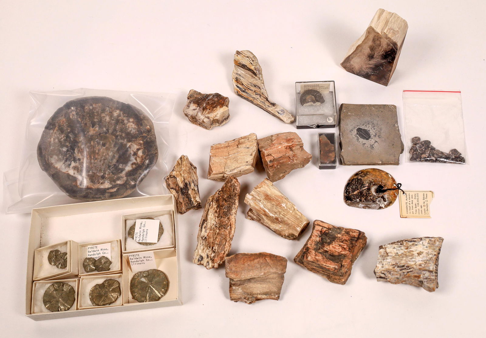 Petrified Wood, Fossils, Marcasite Suns [143751]: Lot includes ~4.2 pounds of rough petrified wood, possibly from Willard Creek near Susanville, California; single bookend made of polished petrified wood, labeled in pencil, "Willard Creek BP 1991" ~4