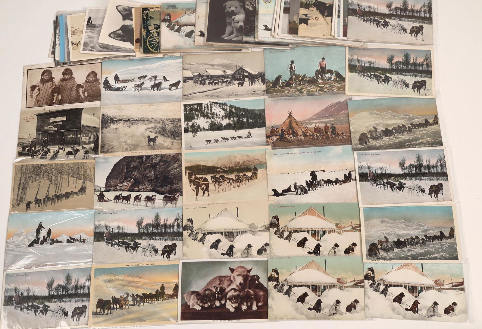 Dog Postcards: Alaska Sled Dog Teams (85)  [134975] (1 of 1)