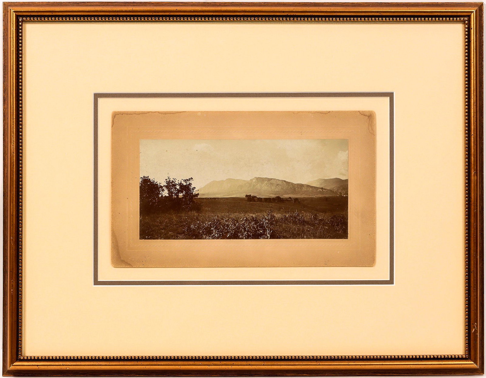 Colorado Agriculture Cabinet Card & Engraving [151164] (1 of 2)
