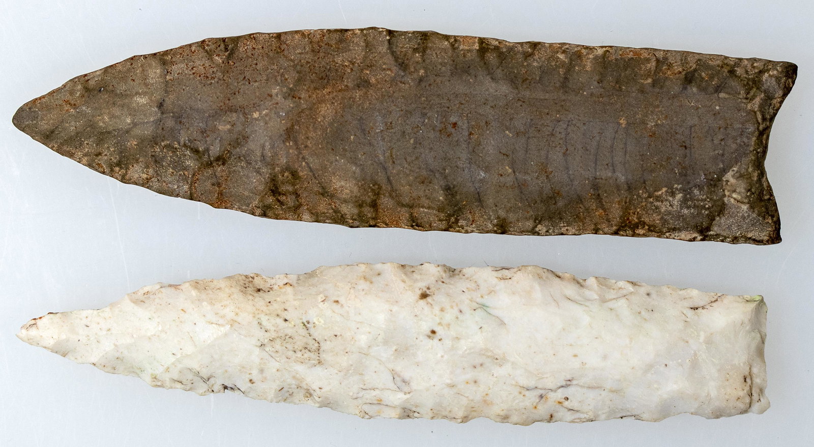 Paleo Points (2) [154992] (1 of 1)