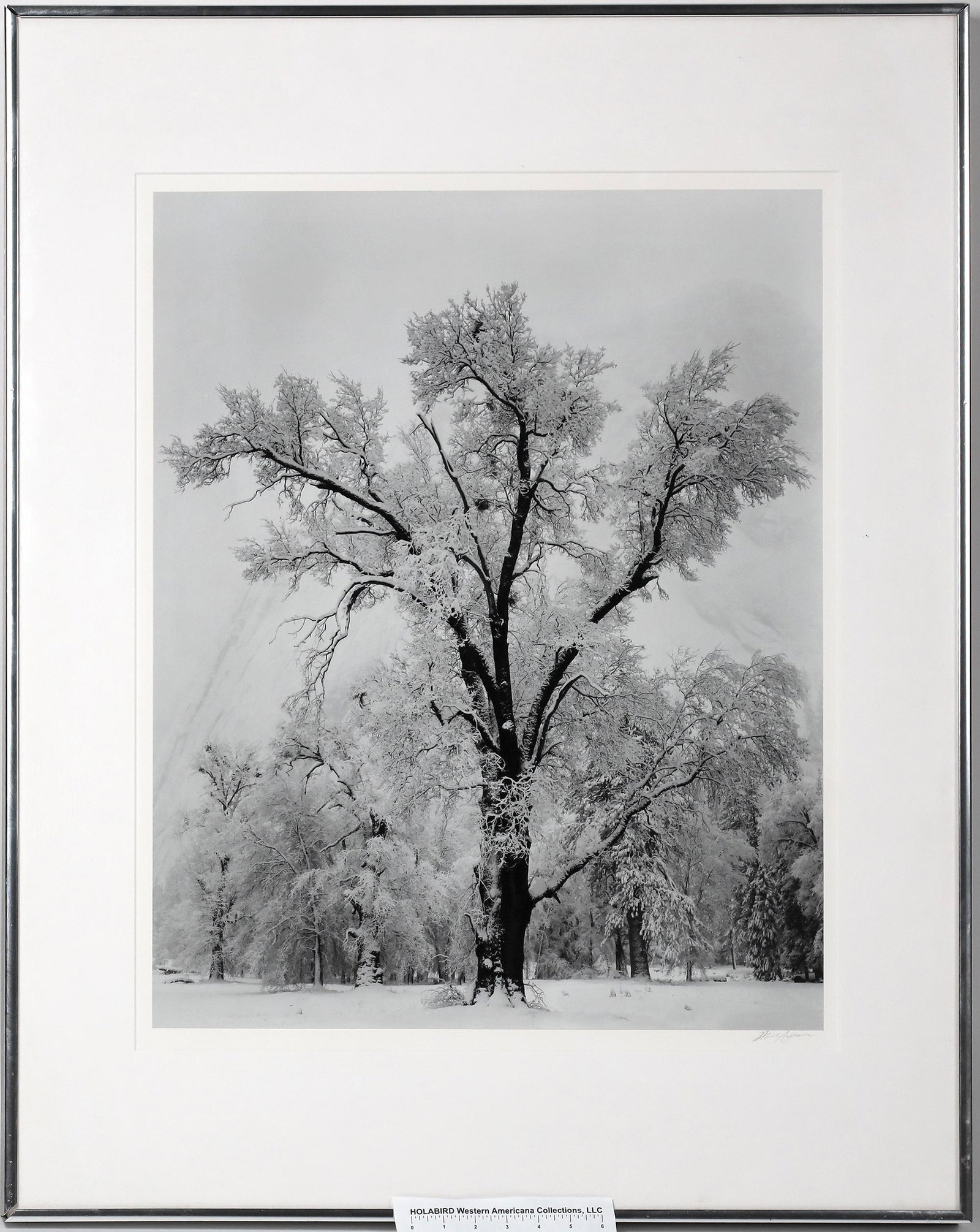 Ansel Adams Signed Yosemite Photo, Framed [157240] (1 of 1)