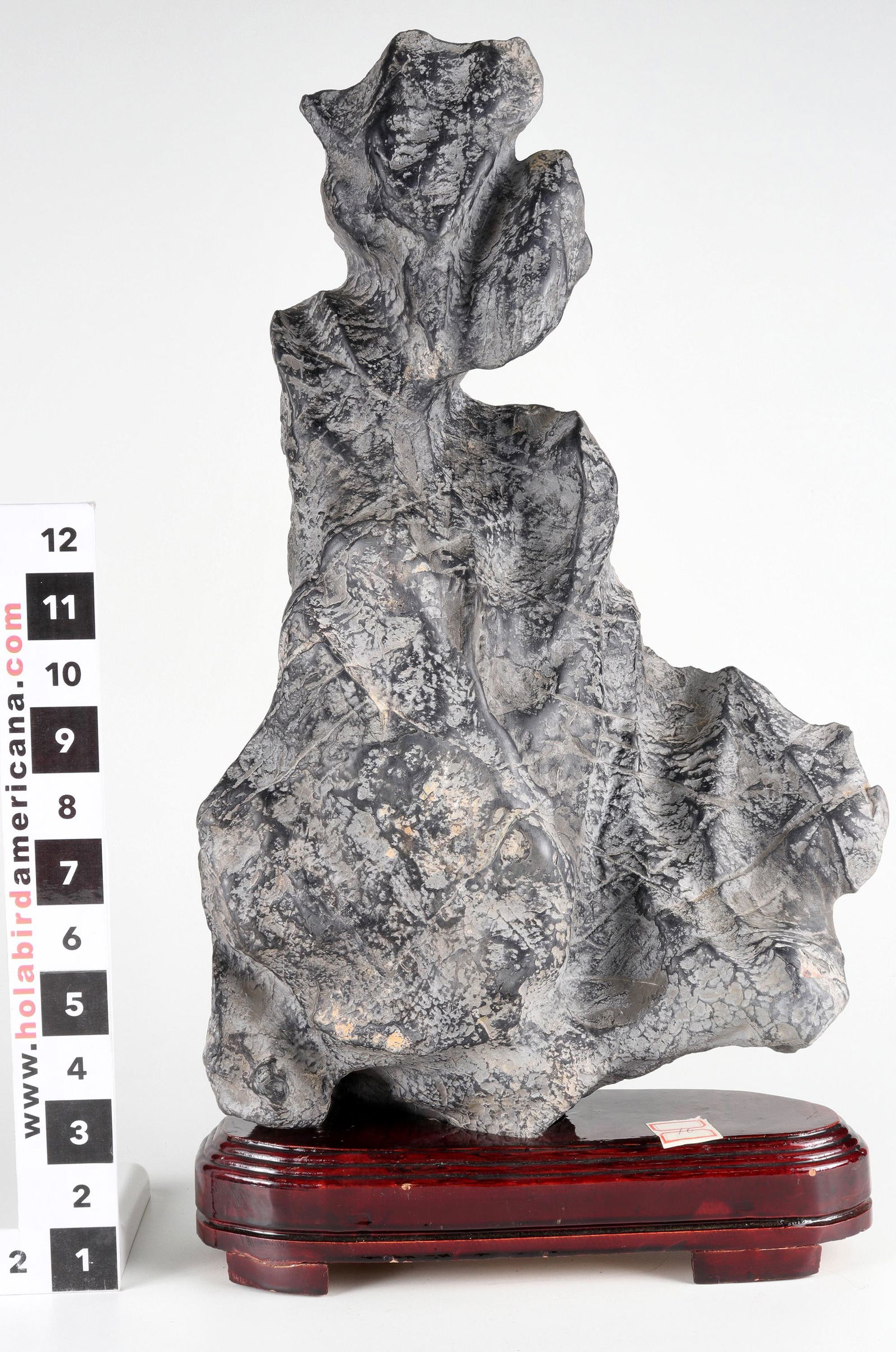 Chinese Viewing Stone - Lingbi Stone [149095] (1 of 3)