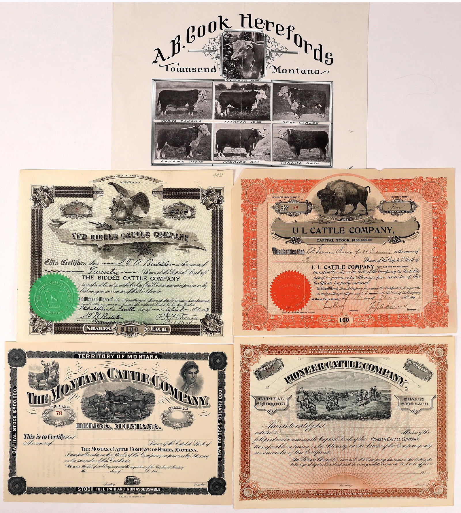 Montana Cattle Stocks, 4 [164882] (1 of 1)