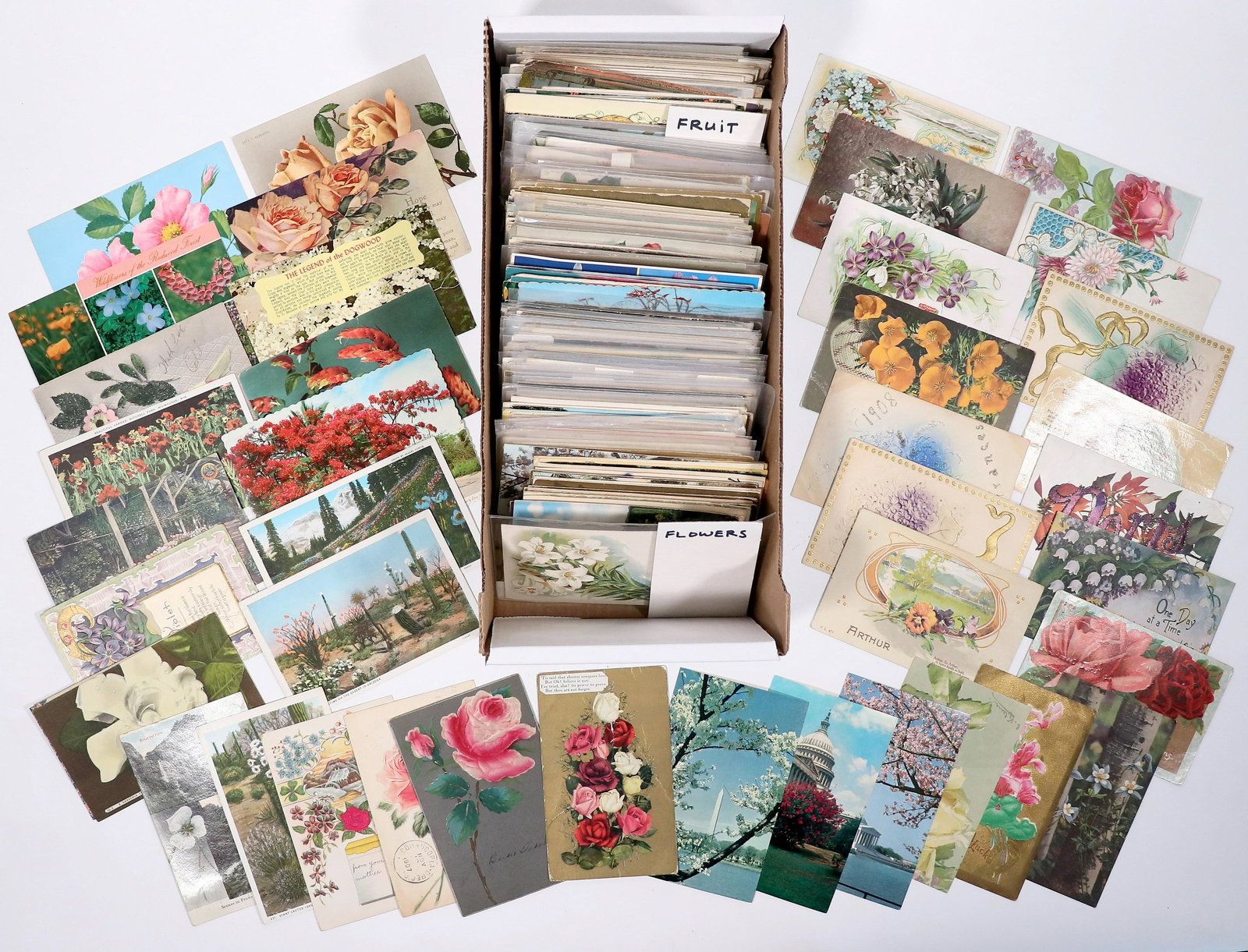 Fruit and Flower Postcards, 500 [167343] (1 of 1)