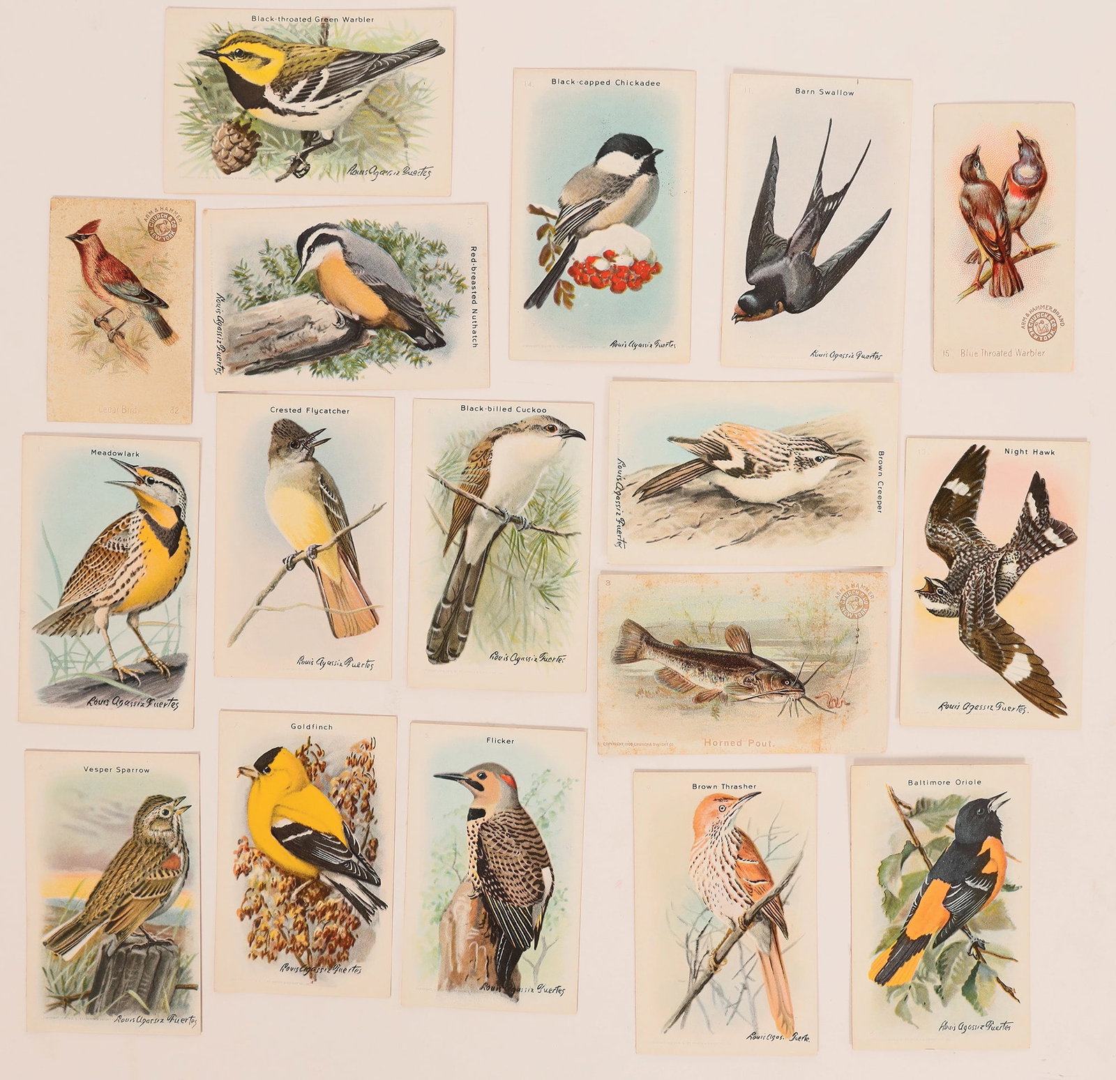 Trade Cards: Arm & Hammer Baking Soda [180717] (1 of 2)