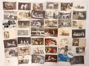 Dog Postcard Collection 250 [185907]
