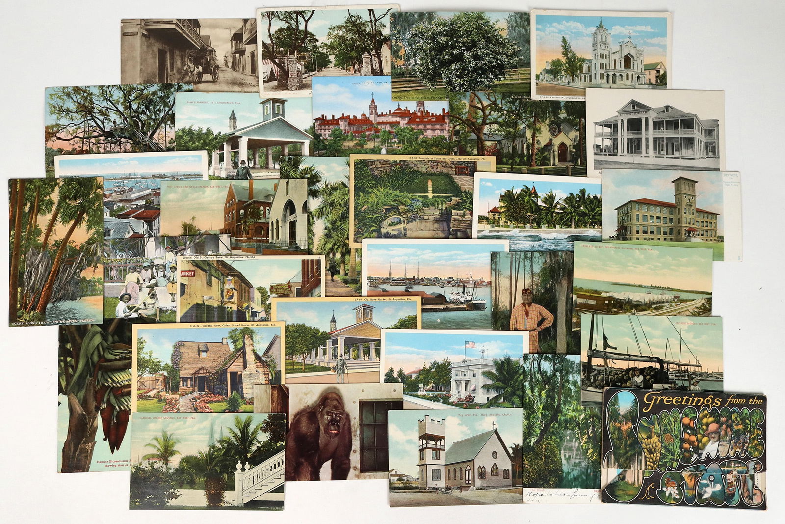 Florida Postcards (25) [187016] (1 of 4)
