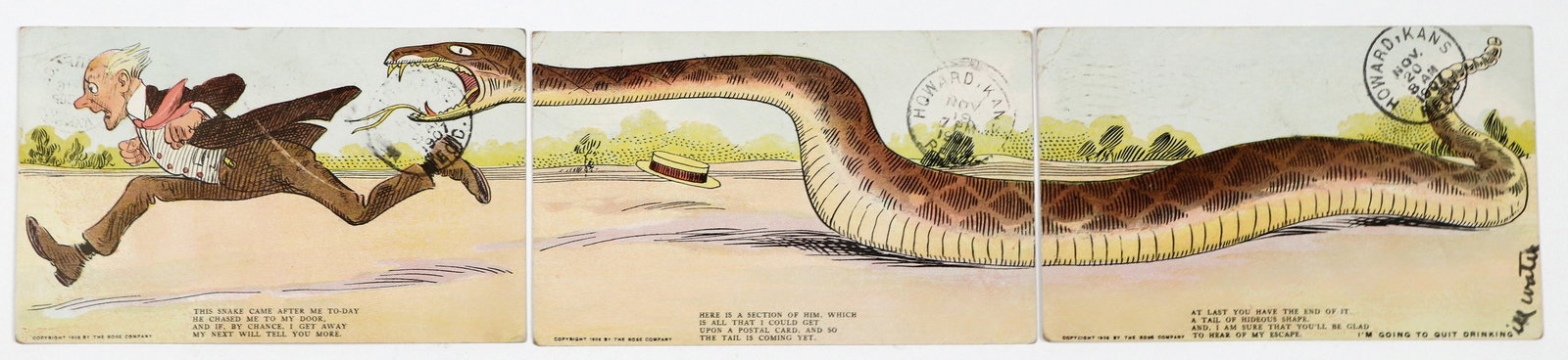 Snake Trifecta Postcard 1907 [186326] (1 of 2)
